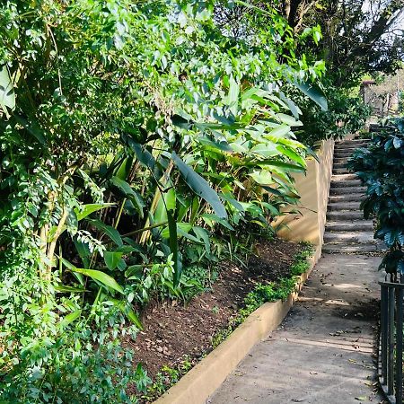Don Jarvey I Bed & Breakfast Monteverde Exterior foto