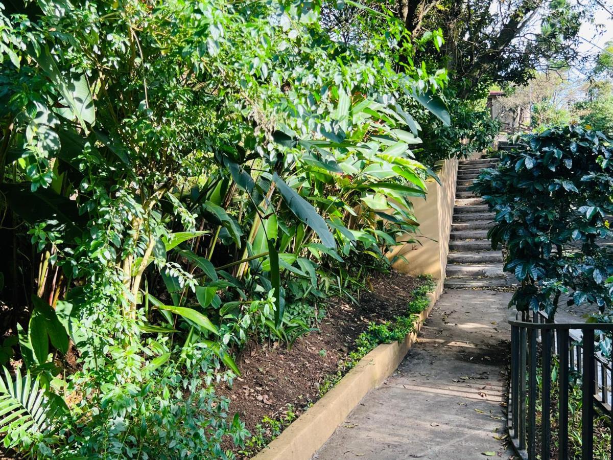 Don Jarvey I Bed & Breakfast Monteverde Exterior foto